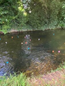 Duck Race 1